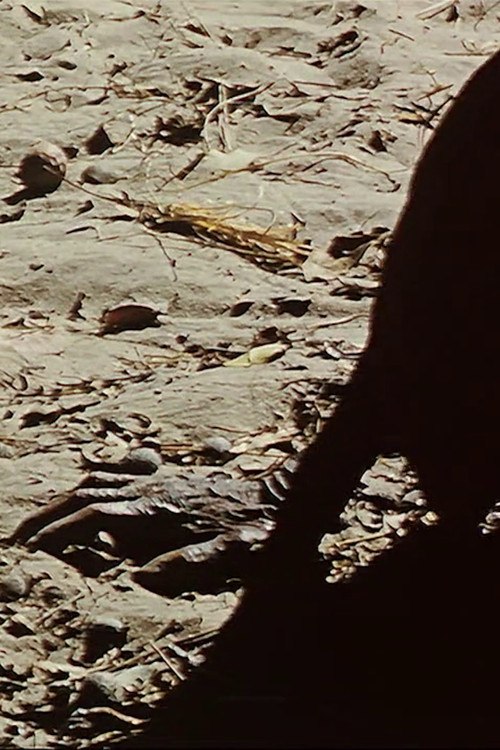 The Old Lady AKA A Human Document