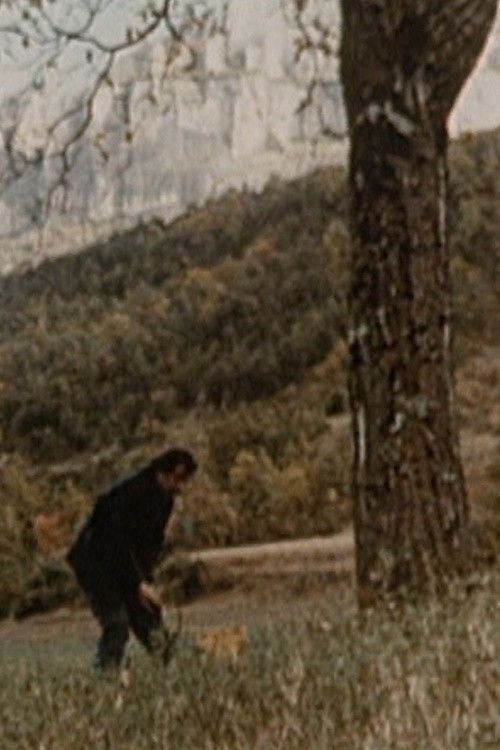 Laissés pour compte poster