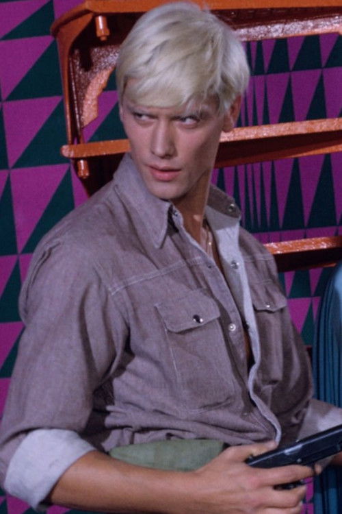 Wolfgang Hillinger as Handsome