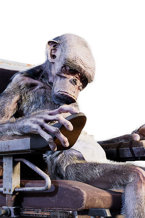 Eugène as le chimpanzé