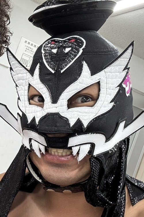 Yohei Nakajima as Black Menso-re