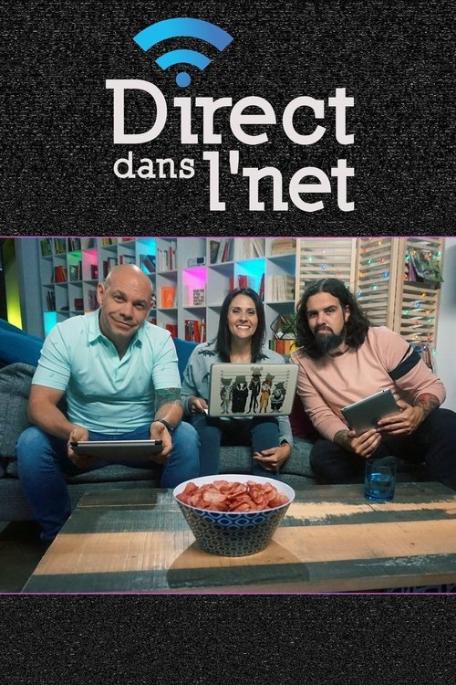 Direct dans l'net poster