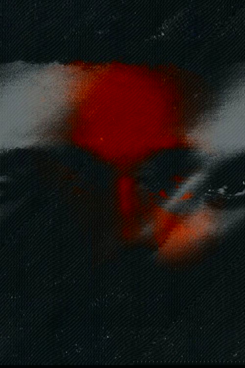 He Was Never There, Docupoem poster