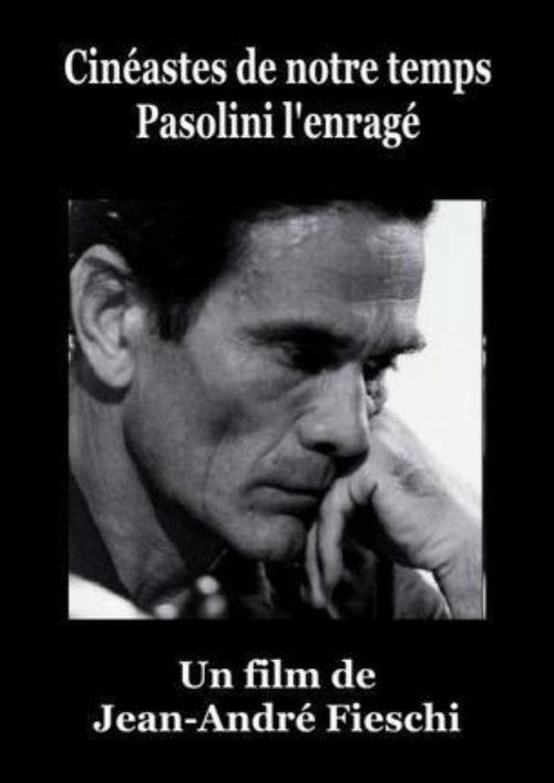 Pasolini l'Enragé poster