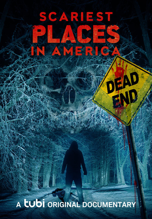 Scariest Places in America poster