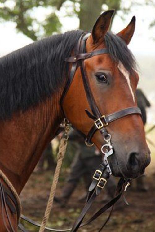 Finder's Key profile photo