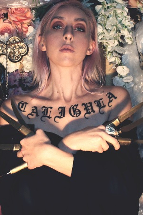 Kristin Hayter as Voice