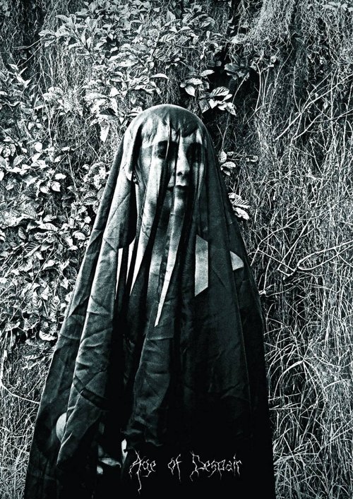 Age of Despair poster