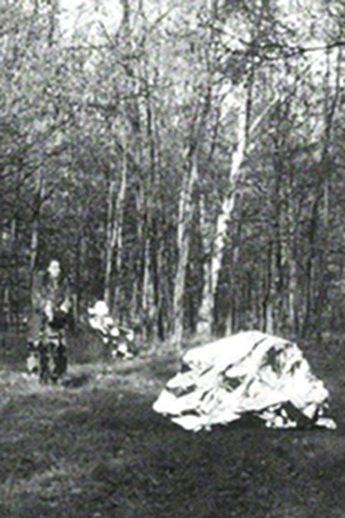 The Protection Foil poster