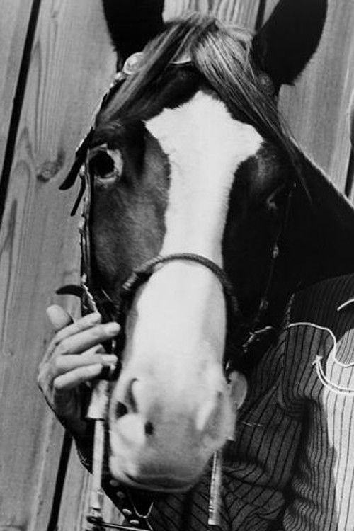 Champion as Gene's Horse