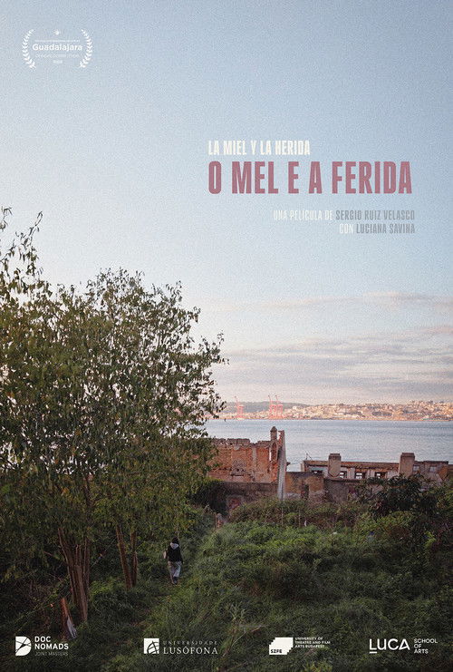 O mel e a ferida