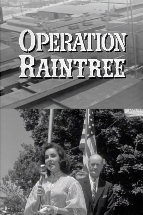 Operation Raintree