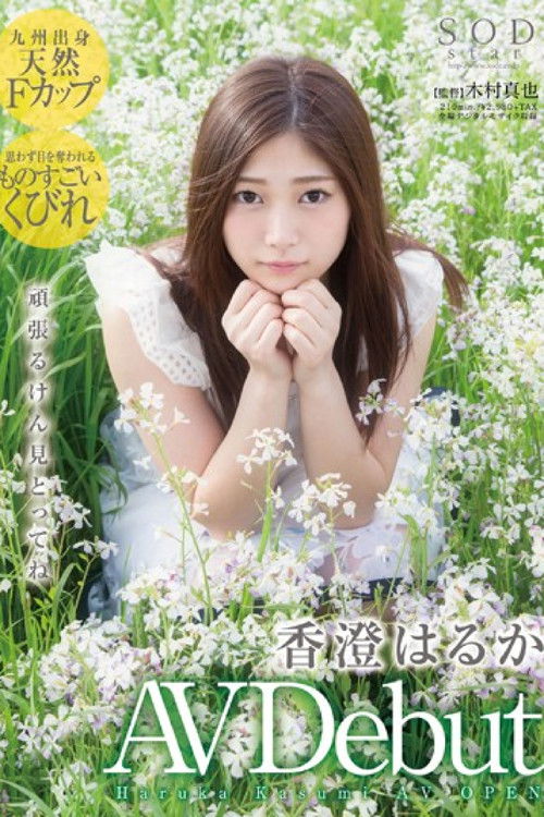 香澄遥，香澄はるか as 