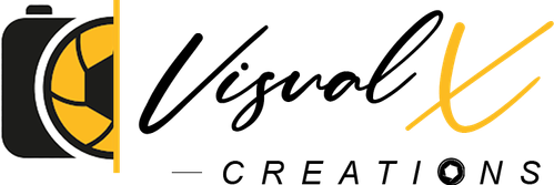Visual X Creations logo