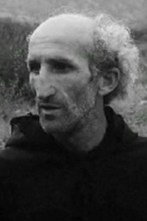 Otar Guntsadze as Mgebavi