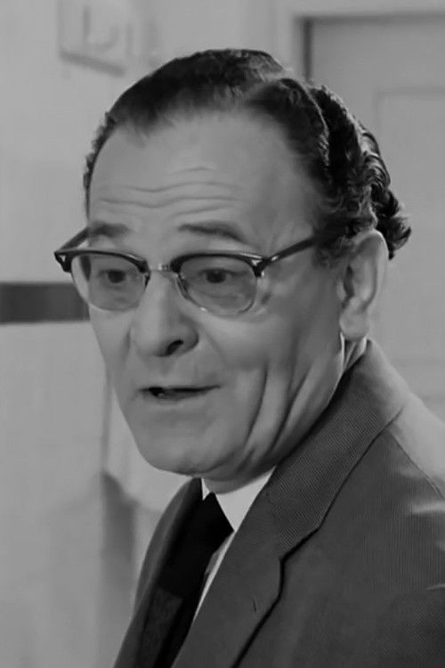 Aris Hrisohoos as Demetrios Bairaktaris