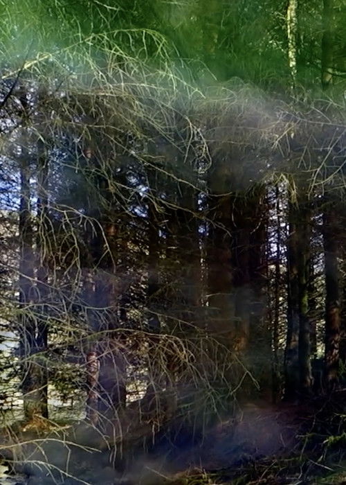 Buccleuch Church on the Kirk Burn