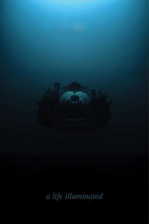 A Life Illuminated poster