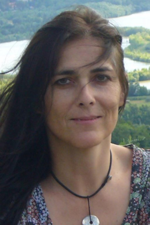 Kim Hopkins as Allisa