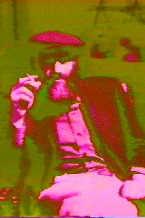 Self Portrait 2 poster