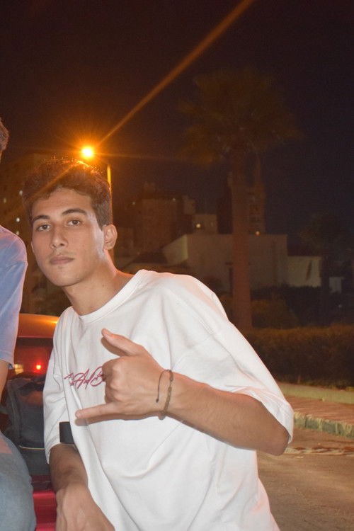 Zayn El Sherif as Self