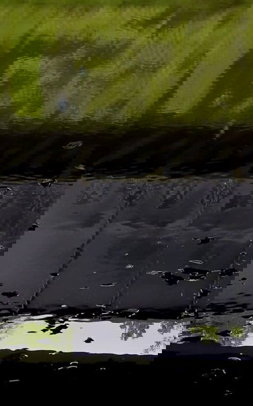 Watercolor (Fall Creek)