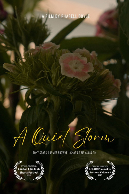 A Quiet Storm