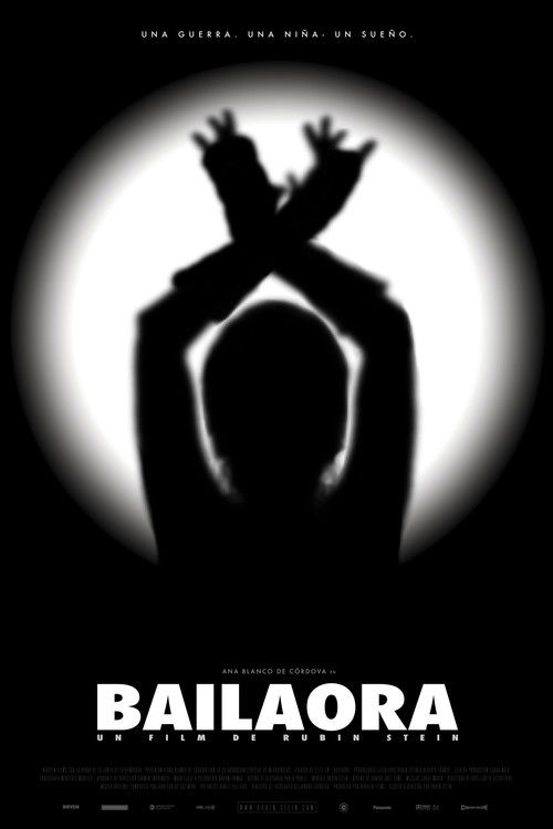 The Flamenco Dancer poster