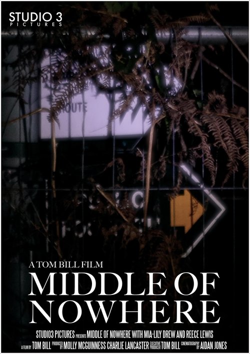 Middle of Nowhere poster