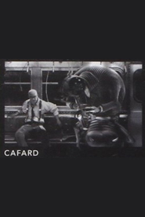 Cafard poster