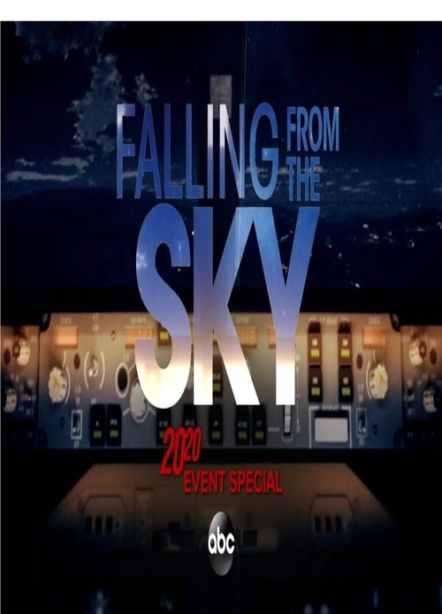 20/20 Falling From The Sky poster