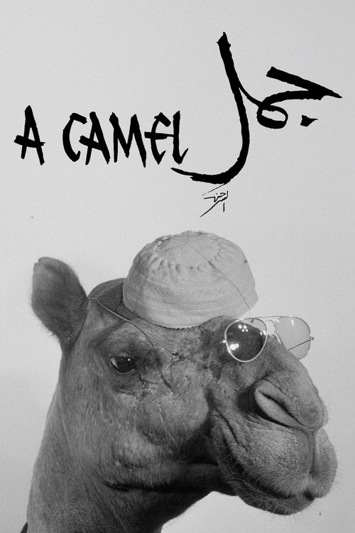 A Camel