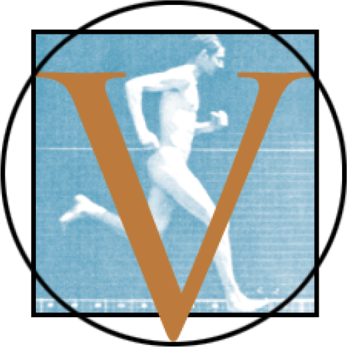 Vidicom Media logo
