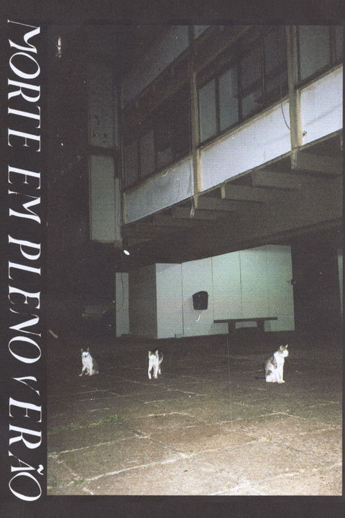 Morte em pleno verão poster