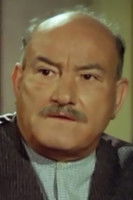 Thodoros Kefalopoulos as Stavros