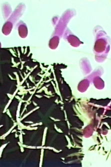 Frottage/Dommage/Fromage 2 Vous