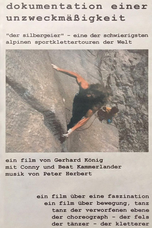 Dokumentation einer Unzweckmäßigkeit poster