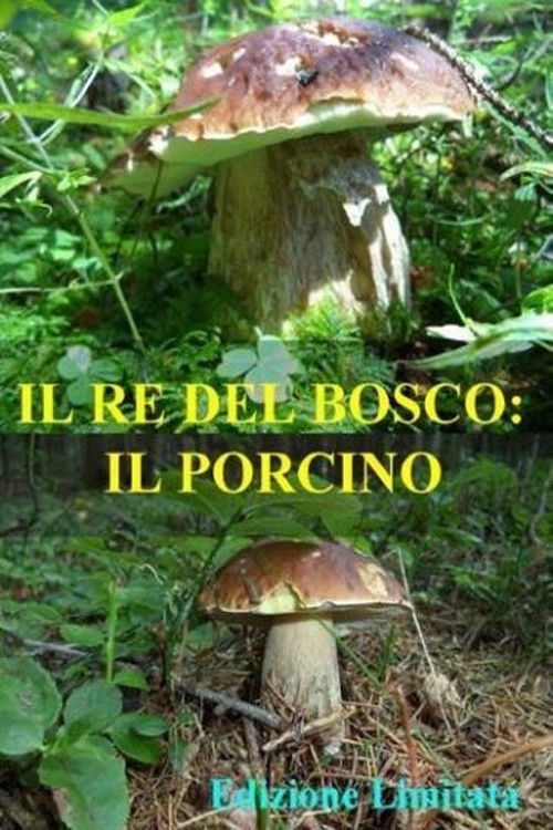 Il re del bosco: il porcino poster