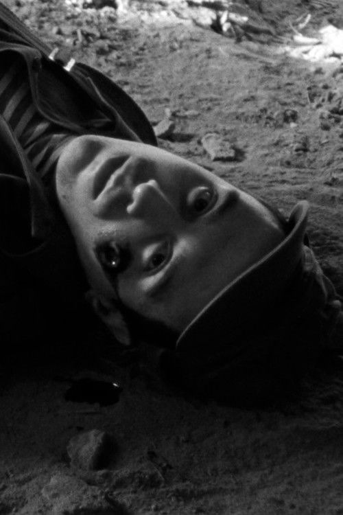 Andrés Moreno Grande as Soldier (Cave)