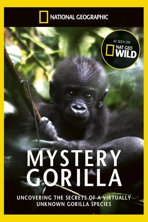 De mystiske gorillaer