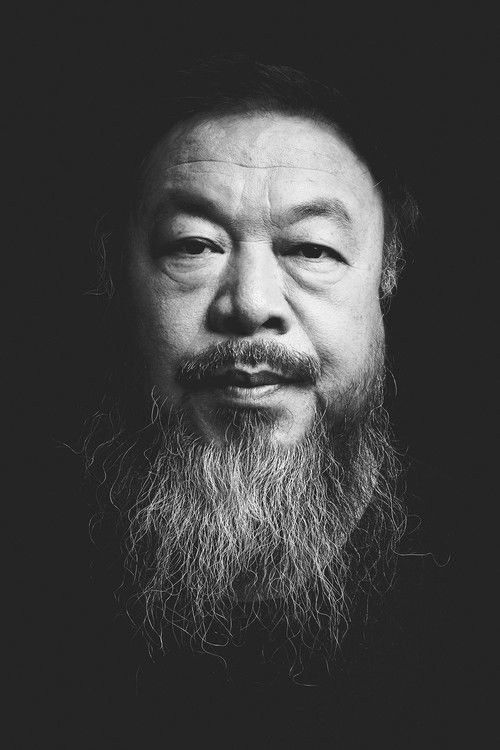 Ai Weiwei as Self