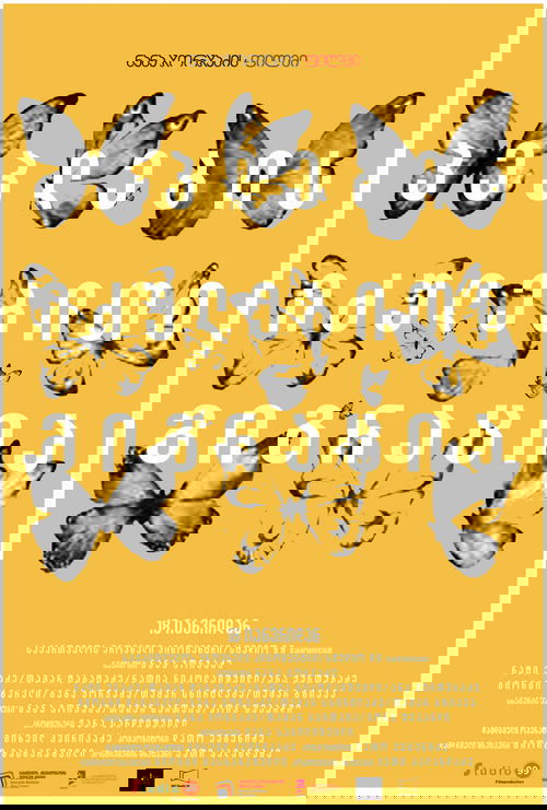 Forced Migration of Butterflies