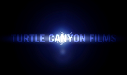 Turtle Canyon Films logo