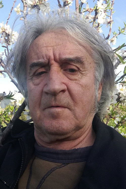 Kostas Kolimenos as 