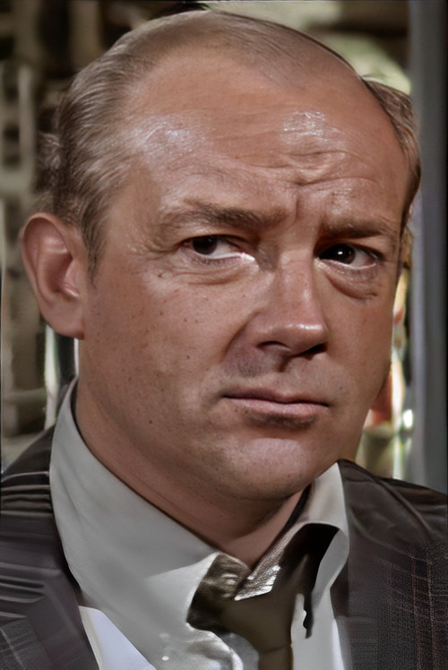 Robert Cleaves as Doctor