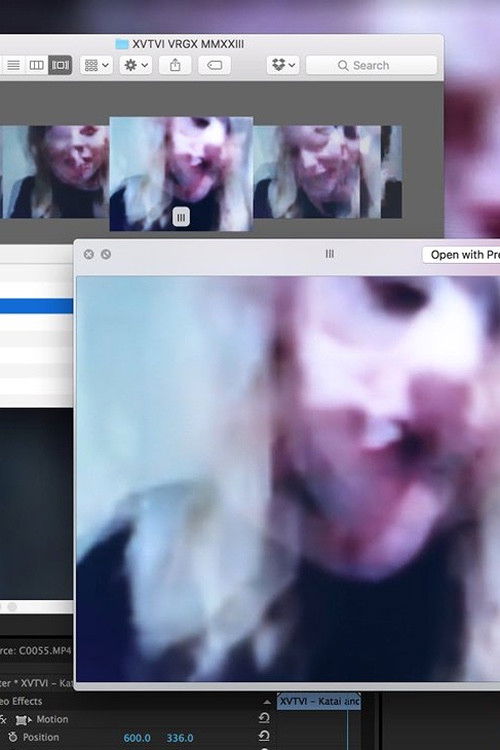 Everybody Wants It All poster