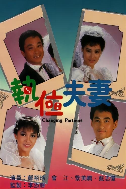 执位夫妻 poster