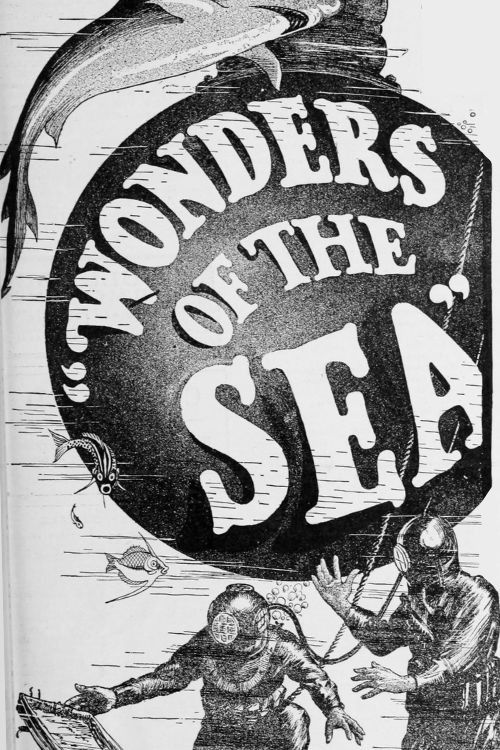 Wonders of the Sea
