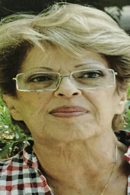 Malak Ismael as مذيعة التليفزيون