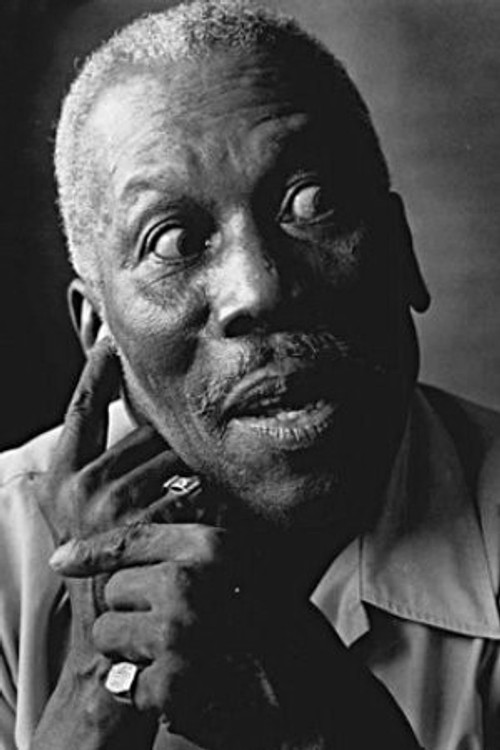 Tiger Haynes as Booker